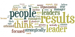 People Strategy Leadership